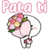 Pata ti