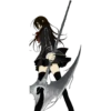 Vampire Knight 12