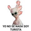 YO NO SÉ NADA SOY
TURISTA