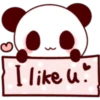 Panda Love 16