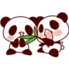 Panda Love 17