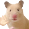 Emojis de Hámsters 13