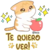 Gatito Quesito 5