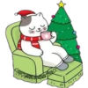 Cat ️ Bunny 19