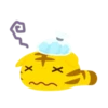 Yellow Kitten 11