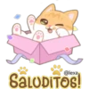 Gatito Quesito 7