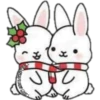 Cat ️ Bunny 21