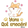Gatito Quesito 8