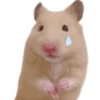 Emojis de Hámsters 14