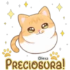 Gatito Quesito 9