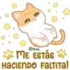 Gatito Quesito 10