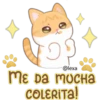 Gatito Quesito 11