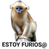 ESTOY FURIOS@