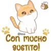 Gatito Quesito 13