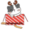 Cat ️ Bunny 22