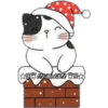 Cat ️ Bunny 23