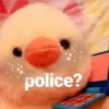 ♡ PaToS RaNdOM ♡ 10