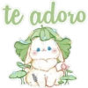 te adoro cokki