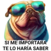 MEMES 5 CLÁSICO 19