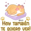 Gatito Quesito 14
