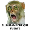 SU PUTAMADRE QUE
FUERTE