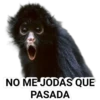 NO ME JODAS QUE
PASADA