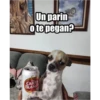 Un parin ote pegan? CART BLANG