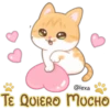 Gatito Quesito 15