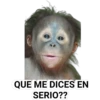 QUE ME DICES EN
SERIO??