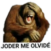 www
JODER ME OLVIDÉ