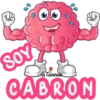 Cerebro animado 1 19
