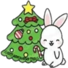 Cat ️ Bunny 24