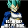 FACHEROS
MIS PRIMOS