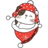 Cat ️ Bunny 25