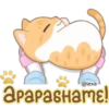 Gatito Quesito 18