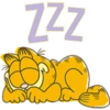Garfield: Cattitude by Bare Tree Media (1) 20