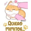 Gatito Quesito 20