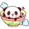 Panda Love 24