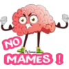 Cerebro animado 1 24