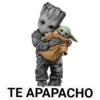 TE APAPACHO