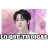 BTS stickers 26