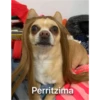 S Perritzima