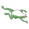 The wildlife cartoon of rabbit and frog 12