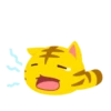 Yellow Kitten 21