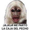 JAJAJA ME PARTO
LA CAJA DEL PECHO