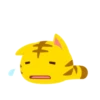 Yellow Kitten 24