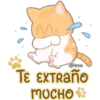 Gatito Quesito 21