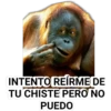 INTENTO REÍRME DE
TU CHISTE PERO NO
PUEDO