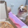 中