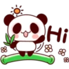 Panda Love 30